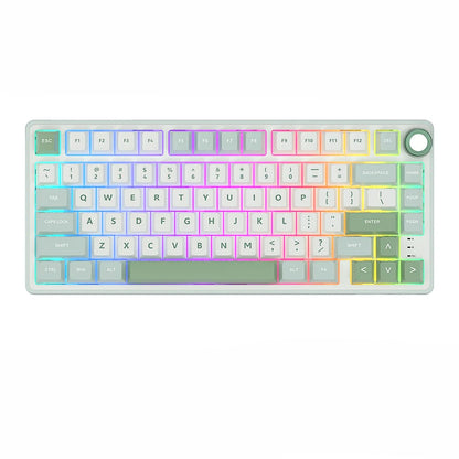 Teclado mecánico R75 junta 80 teclas RGB Hot Swap español