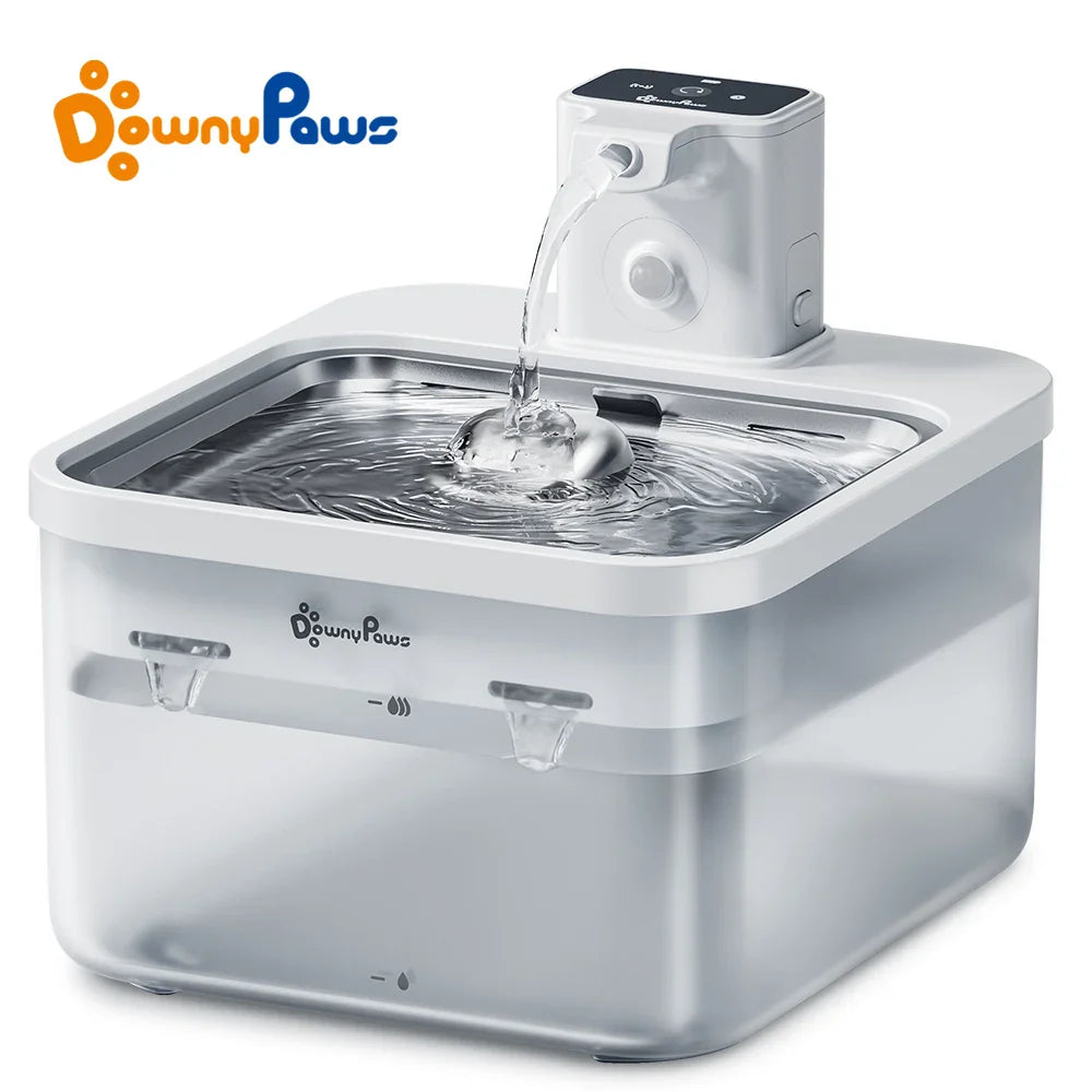 Fontana per acqua per gatti 2.5L in acciaio inox distributore automatico con sensore senza fili batteria 4000mAh scadenza 2025 idratazione sana