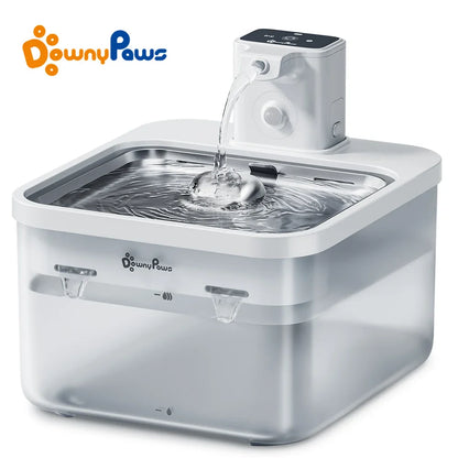 Fontana per acqua per gatti 2.5L in acciaio inox distributore automatico con sensore senza fili batteria 4000mAh scadenza 2025 idratazione sana
