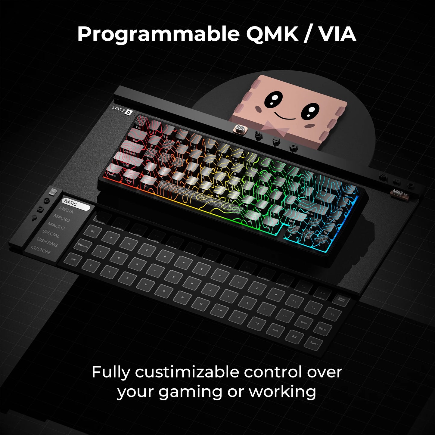 Mechanisch Toetsenbord M67 67 Toetsen Pakking Hot Swappable RGB