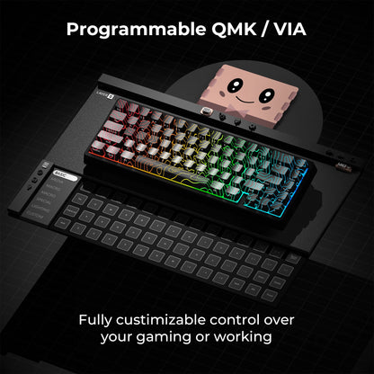 Mechanisch Toetsenbord M67 67 Toetsen Pakking Hot Swappable RGB