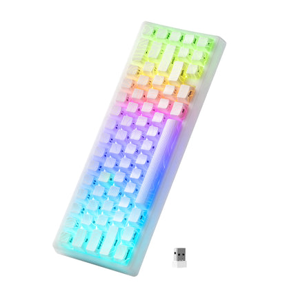 Mechanisch Toetsenbord M67 67 Toetsen Pakking Hot Swappable RGB