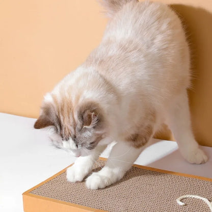 Pet Cat Scratching Board Cat Cardboard Mat for Claw Grinding