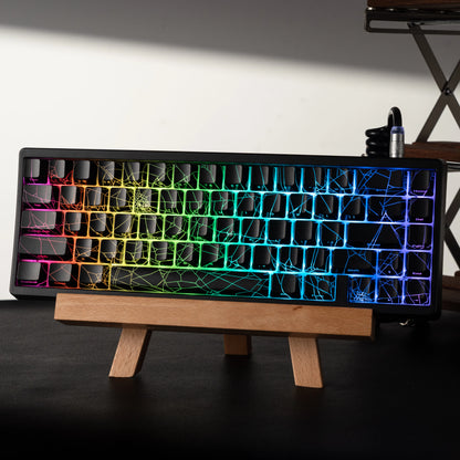 Mechanisch Toetsenbord M67 67 Toetsen Pakking Hot Swappable RGB