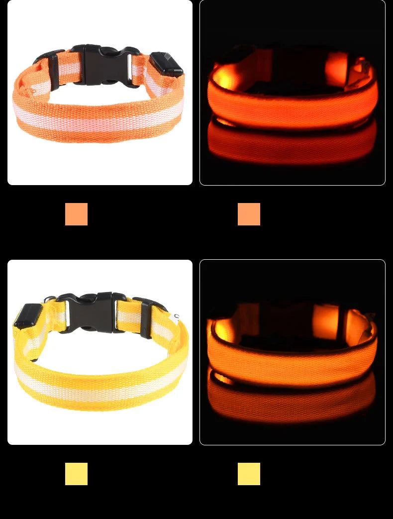 LED Dog Collar Glow In The Dark Night Safety Luminous Fall 2026 Trend Perfect Gift Idea