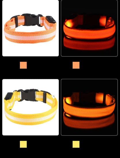 LED Dog Collar Glow In The Dark Night Safety Luminous Fall 2026 Trend Perfect Gift Idea
