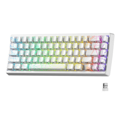 Mechanisch Toetsenbord M67 67 Toetsen Pakking Hot Swappable RGB