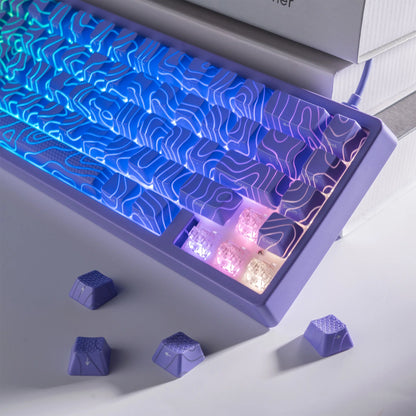 Mechanisch Toetsenbord M67 67 Toetsen Pakking Hot Swappable RGB