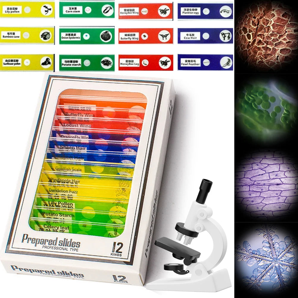 Microscope Specimen Slides for Kids - 200MP Specimens for 1000x Magnif ...