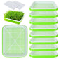 Hydroponic Microgreens Sprouter Tray - Double Layer Garden Tool for Home Nursery