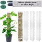 Indoor Moss Pole Garden Tools - 24-inch Plastic Plant Stand for Climbing Plants Support