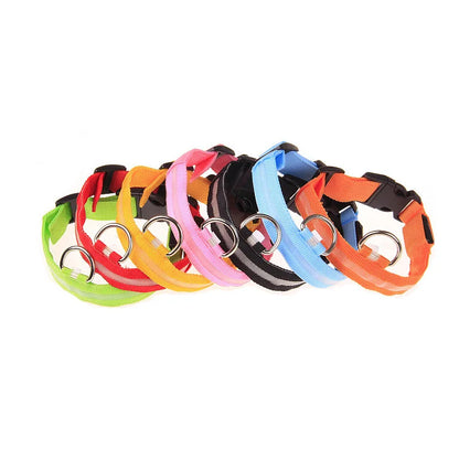 LED Dog Collar Glow In The Dark Night Safety Luminous Fall 2026 Trend Perfect Gift Idea