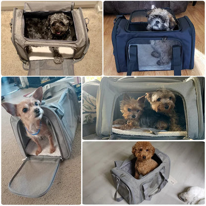 Dog Carrier Soft Side Backpack Pet Carrier Airline Approved Travel 2025 Breathable Hands Free Comfort