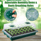 High Dome Seed Starter Trays with LED Grow Lights - 80 Cells, Smart Timer, Garden Tools for Home Gardening