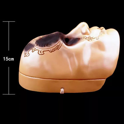 Harry Potter Dooddoenermasker van kunsthars voor cosplay, gemaskerd bal, Halloween en carnaval, Malfoy-rekwisiet 2026