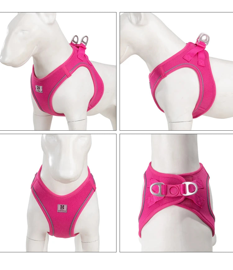 Dog Harness Leash Set Reflective Padded Vest All Seasons Outdoor Walking Gift Idea
