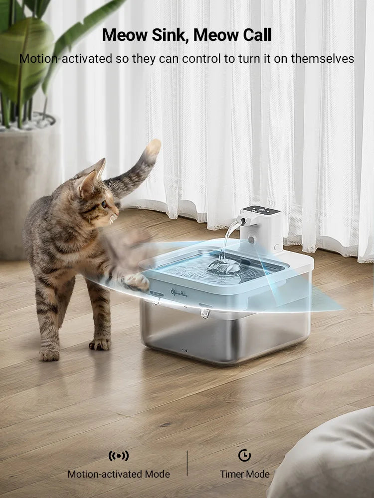 Fontana per acqua per gatti 2.5L in acciaio inox distributore automatico con sensore senza fili batteria 4000mAh scadenza 2025 idratazione sana