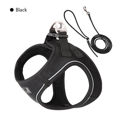 Dog Harness Leash Set Reflective Padded Vest All Seasons Outdoor Walking Gift Idea