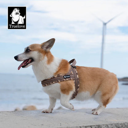 Arnés para perro floral de malla con chaleco acolchado arnés de ajuste rápido ajustable para todas las razas otoño 2025 cómodo para paseos