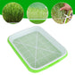 Hydroponic Microgreens Sprouter Tray - Double Layer Garden Tool for Home Nursery