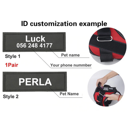 Custom Patch For Harness Dog Name And Phone Number Patch Two Line Text Fall 2025 Gift