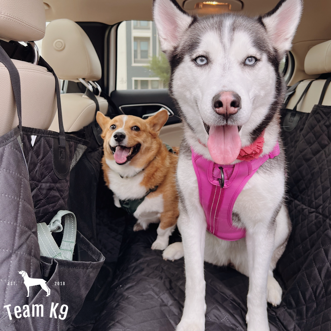 Autositz Hängemattenbezug, wasserdichter rutschfester Rücksitzschutz mit Taschen, kostenloser Sicherheitsgurt, Herbst 2025 Reise