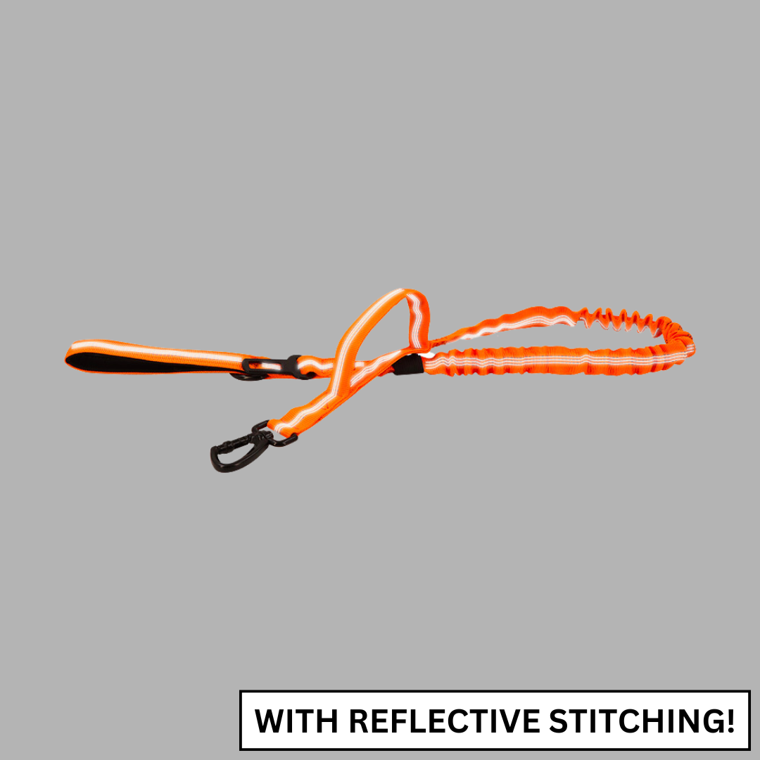 Dog Leash Tactical Fall 2025 Double-Handle Padded Bungee Center 69-Inch Extendable With Seatbelt Attachment