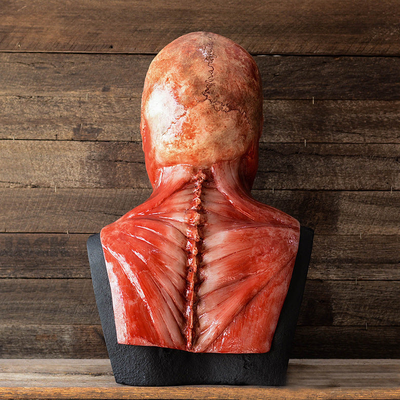 Bloedige Latex Schedelmasker Realistisch Horror Halloween Rekwisiet