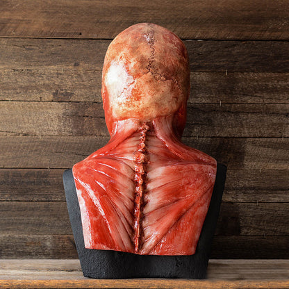 Bloedige Latex Schedelmasker Realistisch Horror Halloween Rekwisiet