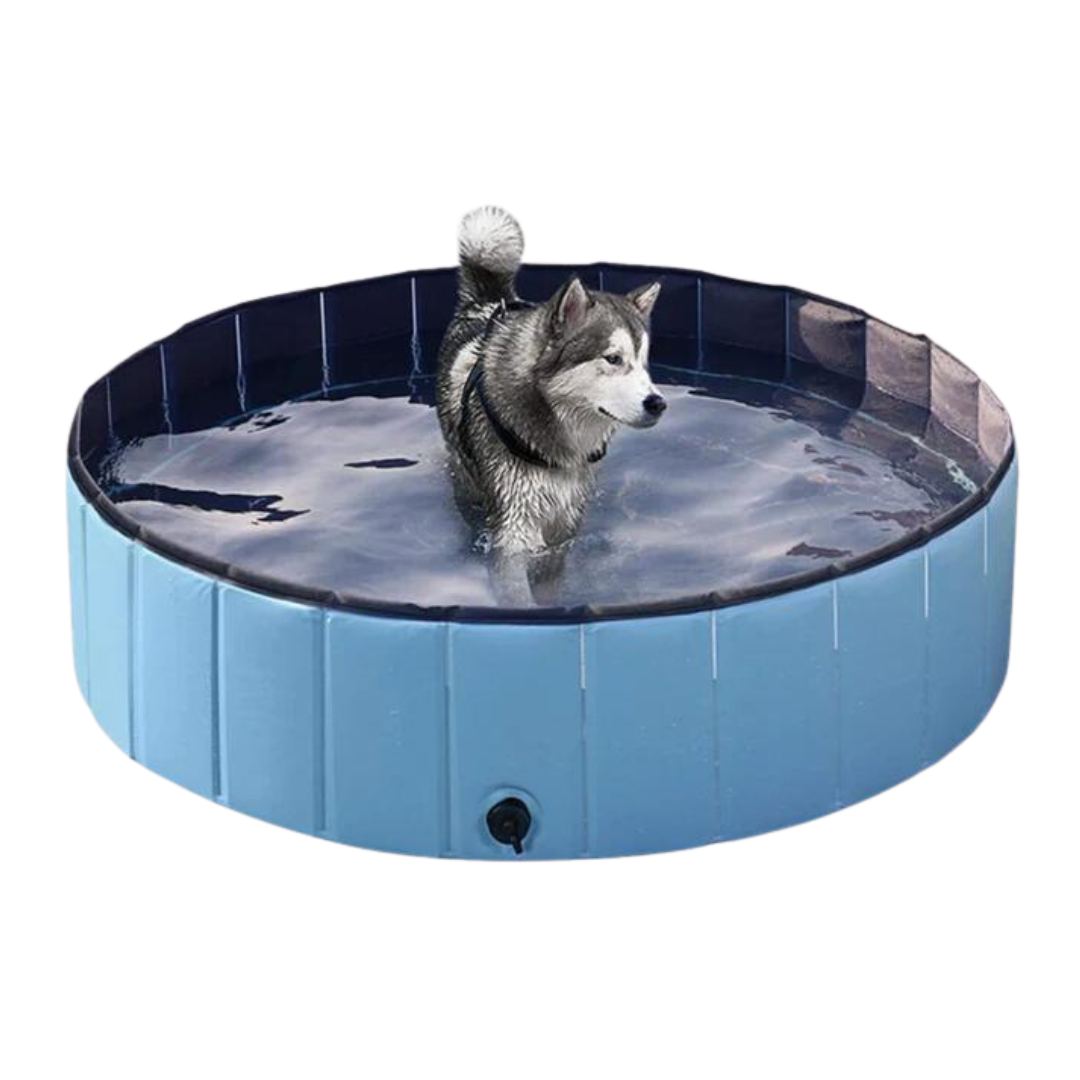 Pop-Up Dog Pool Pieghevole - Bagno e Piscina all'Aperto per Animali Domestici, Estate 2025 Facile Installazione, Scarico Laterale, Rivestimento Durevole