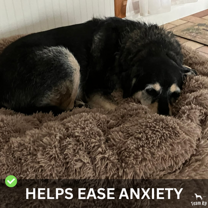 Beroligende hundeseng ultra myk koselig rede med forhøyet kant for avslappende søvn høst 2025 gaveidé