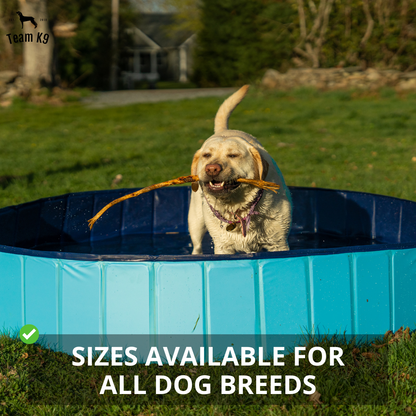 Pop-Up Dog Pool Pieghevole - Bagno e Piscina all'Aperto per Animali Domestici, Estate 2025 Facile Installazione, Scarico Laterale, Rivestimento Durevole