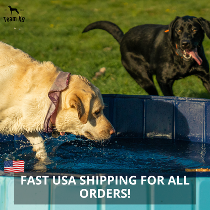 Pop-Up Dog Pool Pieghevole - Bagno e Piscina all'Aperto per Animali Domestici, Estate 2025 Facile Installazione, Scarico Laterale, Rivestimento Durevole