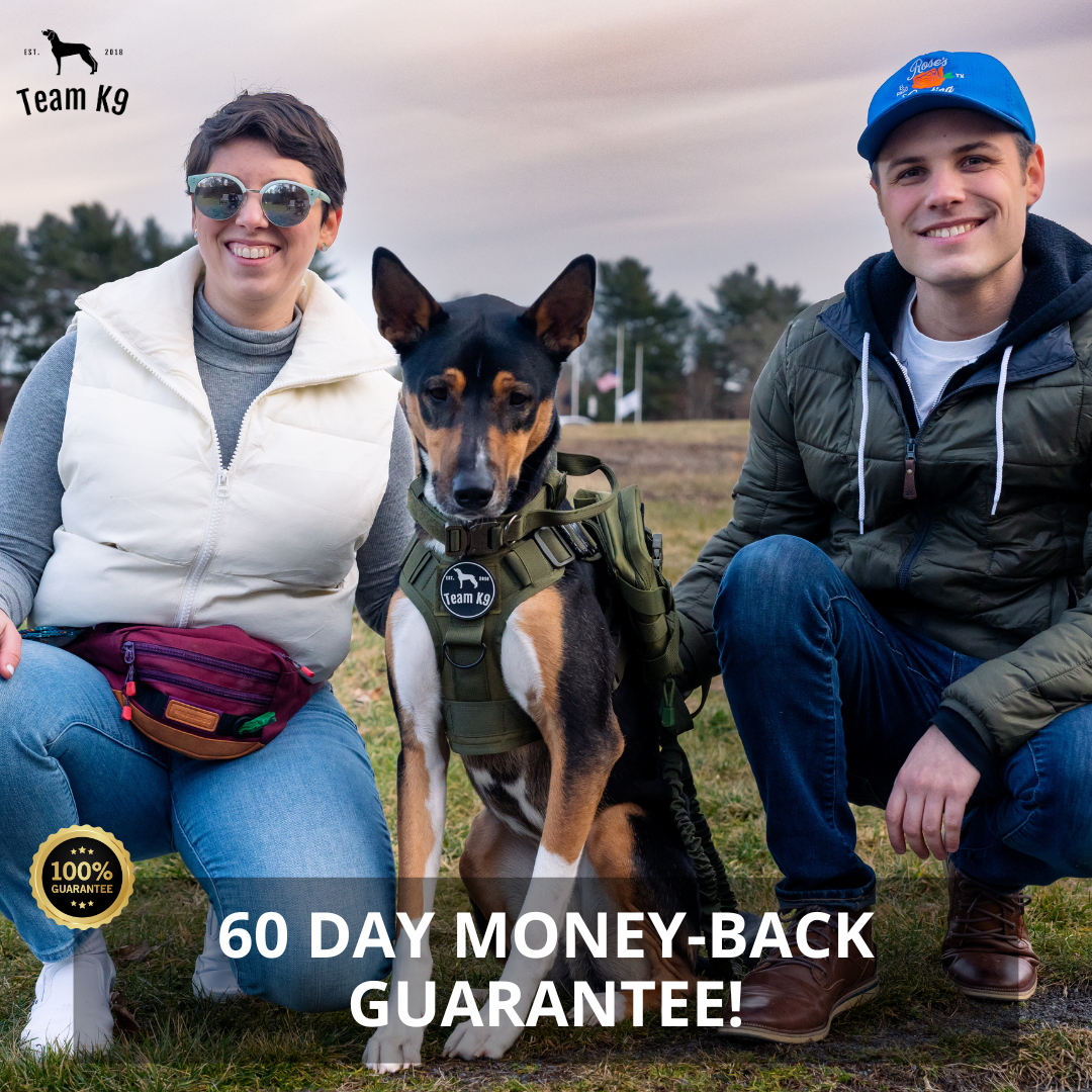 Pop-Up Dog Pool Pieghevole - Bagno e Piscina all'Aperto per Animali Domestici, Estate 2025 Facile Installazione, Scarico Laterale, Rivestimento Durevole