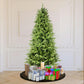 Artificial Christmas Tree Prelit PE&PVC With Metal Stand,550 Multi-Colour LED Lights,2286 Branch Tips Green Everett Balsam Tree Easy Assembly For Indoor,Home 50 x 50 x 90 inches