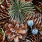 “Pine Cone Christmas Tabletop Tree – Charming Holiday Decor for Festive Celebrations 2024”