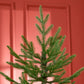 6 ft Realistic Pine Hinged Christmas Tree – Auto Open Design with 795 Branches, Steel Base for Home Holiday Decor 2024