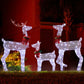 3-Piece LED Lighted Reindeer Family Set – Weatherproof Christmas Decor for Indoor/Outdoor Use, Holiday Cheer 2024