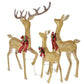 Illuminated 3-Piece Christmas Deer Family Set with 210 Warm White LED Lights for Outdoor Holiday Decor