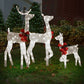 3-Piece LED Lighted Reindeer Family Set – Weatherproof Christmas Decor for Indoor/Outdoor Use, Holiday Cheer 2024