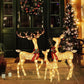 Illuminated 3-Piece Christmas Deer Family Set with 210 Warm White LED Lights for Outdoor Holiday Decor