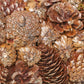 18.5-inch Champagne Pinecone Christmas Wreath – Glitter Accents, Perfect for Front Door, Holiday Decor 2024