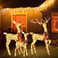 Illuminated 3-Piece Christmas Deer Family Set with 210 Warm White LED Lights for Outdoor Holiday Decor