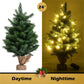 24-Inch Pre-Lit LED Christmas Tree – Mini Tabletop Holiday Decor with Timer Function, Perfect for Home & Office Christmas 2024