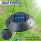 Christmas Tree Solar LED Wind Chimes