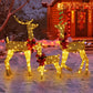 Pre-Lit 3-Piece Lighted Christmas Reindeer Family Set – Weatherproof 2D Outdoor Decor with 200 Warm White LEDs, Holiday Cheer for Christmas 2024