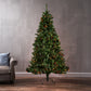 7 ft Pre-Lit Noble Christmas Tree with 500 MultiLights – Festive Holiday Decor for Home & Office 2024