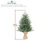 3 FT Tabletop Mini Christmas Tree – Realistic Green Holiday Decor with 100 Branch Tips, Perfect for Small Spaces & Office Use Christmas 2024