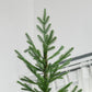 9 ft Realistic Pine Hinged Christmas Tree – 1939 Branch Tips, Steel Base, Auto Open Design for Holiday Decor 2024