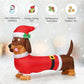 5 Feet Inflatable Christmas Dog Decoration – LED Lit with Built-in Lights, Outdoor Safe, Holiday Decor 2024